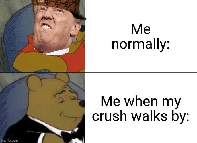 Crush walks by | Me normally:; Me when my crush walks by: | image tagged in memes,tuxedo winnie the pooh | made w/ Imgflip meme maker