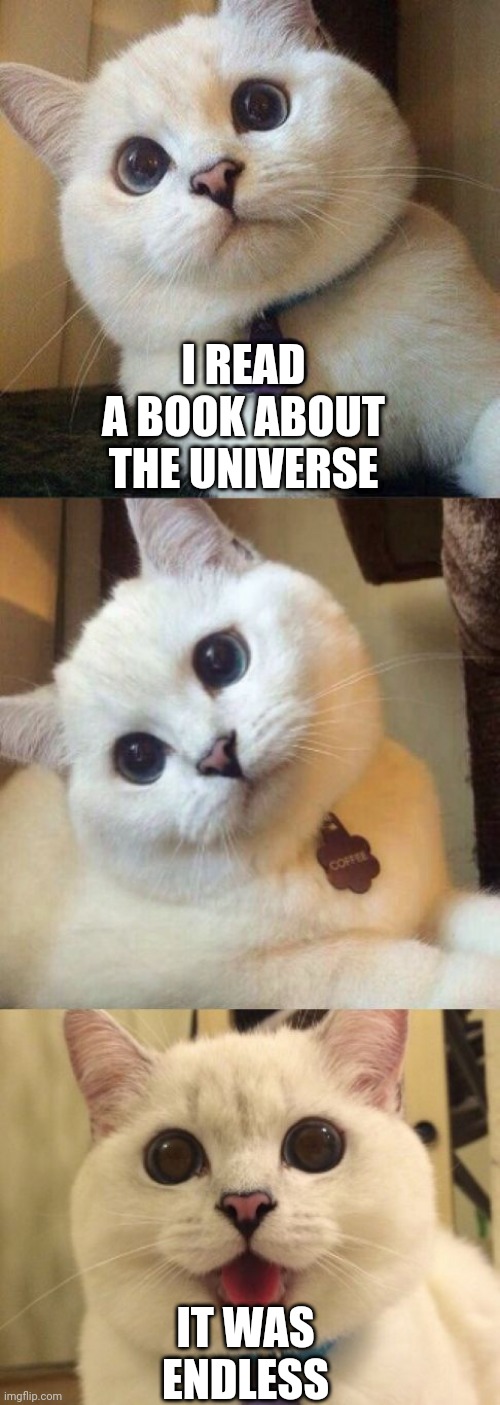 bad pun cat  | I READ A BOOK ABOUT THE UNIVERSE; IT WAS ENDLESS | image tagged in bad pun cat | made w/ Imgflip meme maker