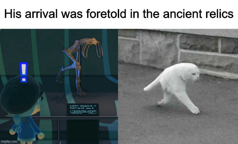 It's him! | His arrival was foretold in the ancient relics | image tagged in cats,memes,funny,animal crossing,history | made w/ Imgflip meme maker