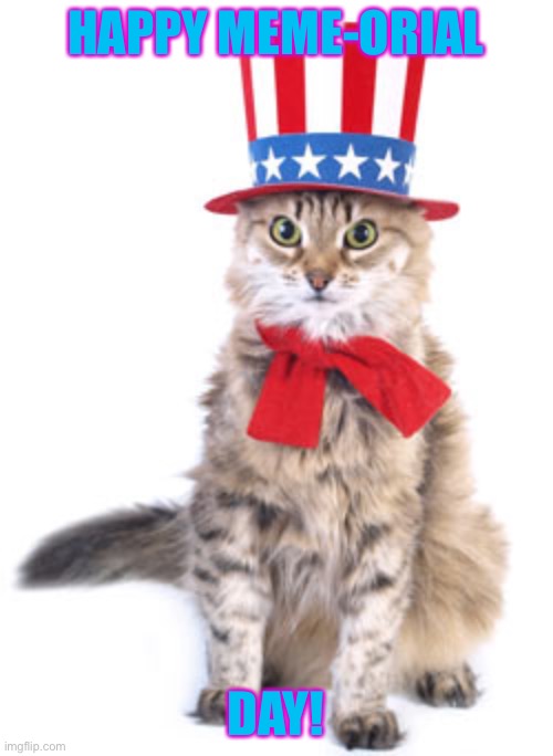 Sorry I’m late... | HAPPY MEME-ORIAL; DAY! | image tagged in 4th of july cat | made w/ Imgflip meme maker