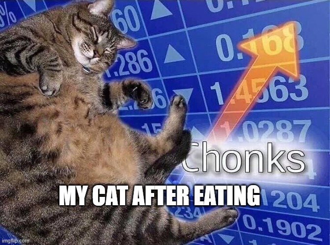 Chonks | MY CAT AFTER EATING | image tagged in chonks | made w/ Imgflip meme maker