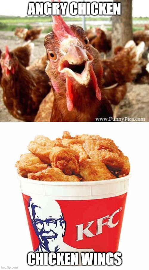 Angry Chcken vs KFC |  ANGRY CHICKEN; CHICKEN WINGS | image tagged in chicken,kfc bucket | made w/ Imgflip meme maker