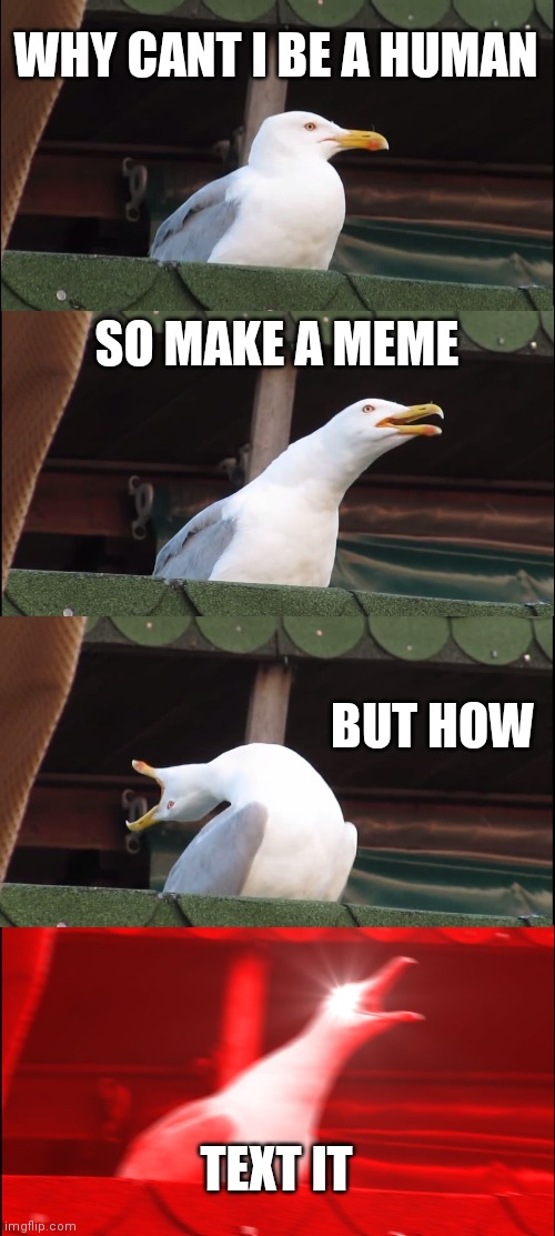 Inhaling Seagull Meme | WHY CANT I BE A HUMAN; SO MAKE A MEME; BUT HOW; TEXT IT | image tagged in memes,inhaling seagull | made w/ Imgflip meme maker