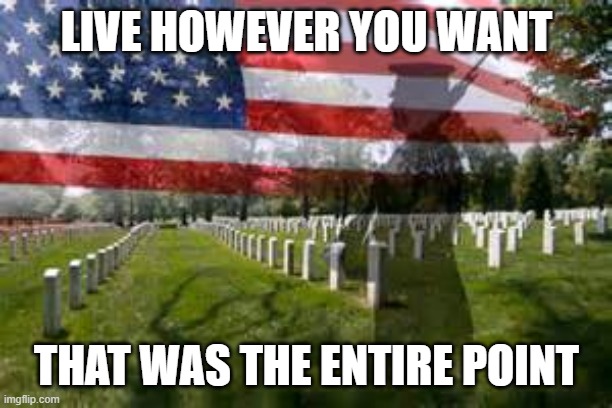 Memorial Day | LIVE HOWEVER YOU WANT THAT WAS THE ENTIRE POINT | image tagged in memorial day | made w/ Imgflip meme maker