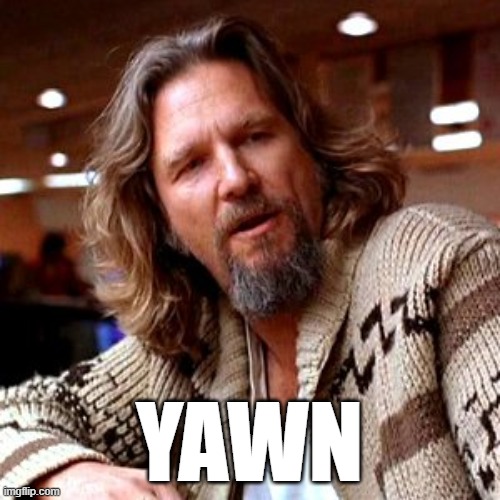 Confused Lebowski Meme | YAWN | image tagged in memes,confused lebowski | made w/ Imgflip meme maker