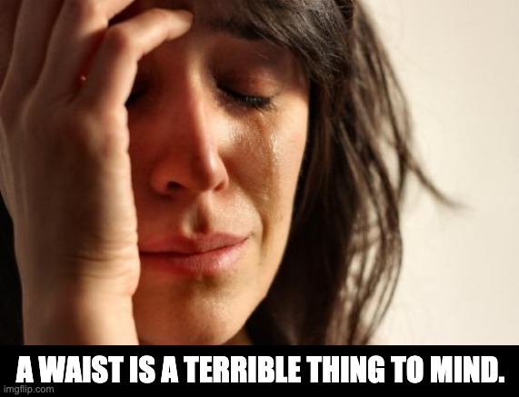 Lockdown will do things like this. | A WAIST IS A TERRIBLE THING TO MIND. | image tagged in memes,first world problems | made w/ Imgflip meme maker