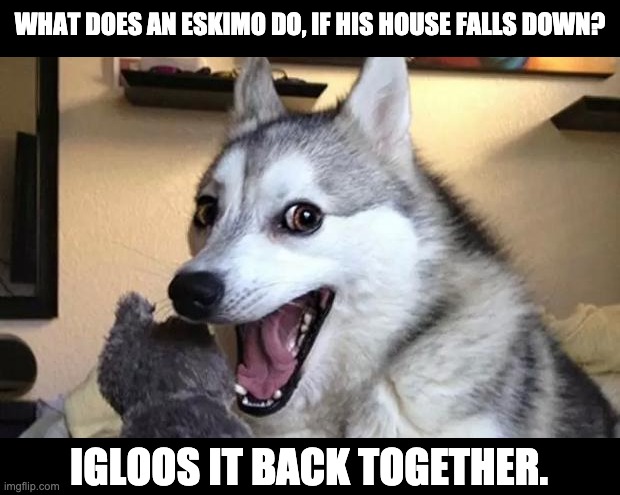 Eskimo humor - Imgflip