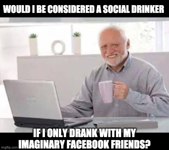 Why not? | WOULD I BE CONSIDERED A SOCIAL DRINKER; IF I ONLY DRANK WITH MY IMAGINARY FACEBOOK FRIENDS? | image tagged in harold | made w/ Imgflip meme maker