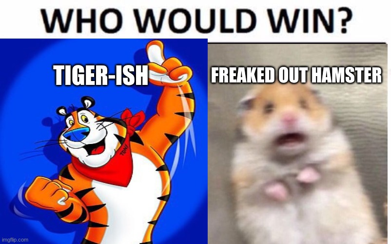 put image title here | TIGER-ISH; FREAKED OUT HAMSTER | image tagged in i a really bored | made w/ Imgflip meme maker