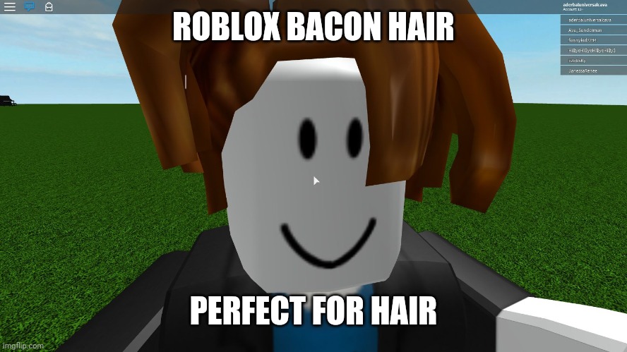 Roblox bacon hair | ROBLOX BACON HAIR PERFECT FOR HAIR | image tagged in roblox bacon hair | made w/ Imgflip meme maker