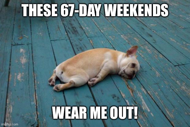 On to day 68... then 69... then 70... then... |  THESE 67-DAY WEEKENDS; WEAR ME OUT! | image tagged in tired dog,long weekend,coronavirus,lockdown | made w/ Imgflip meme maker