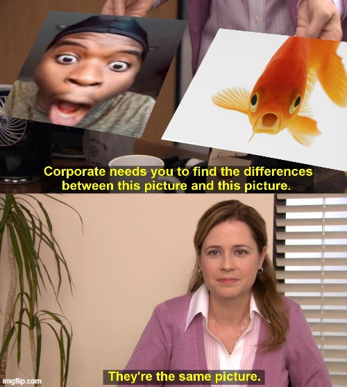 Exact Twins | image tagged in corporate needs you to find the differences,dank,morgz face,fish | made w/ Imgflip meme maker