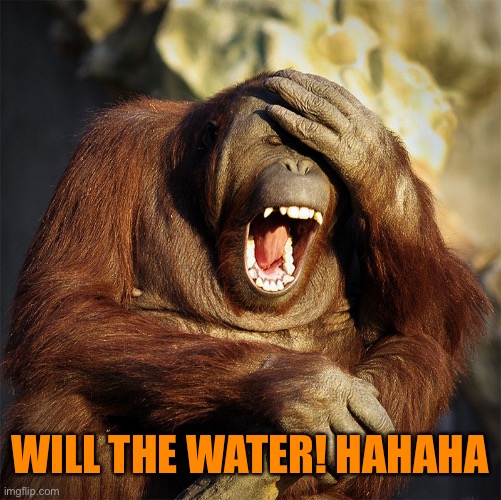 WILL THE WATER! HAHAHA | made w/ Imgflip meme maker