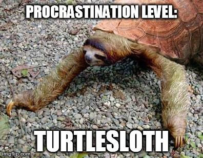 image tagged in funny,turtles,sloths,animals,procrastination | made w/ Imgflip meme maker