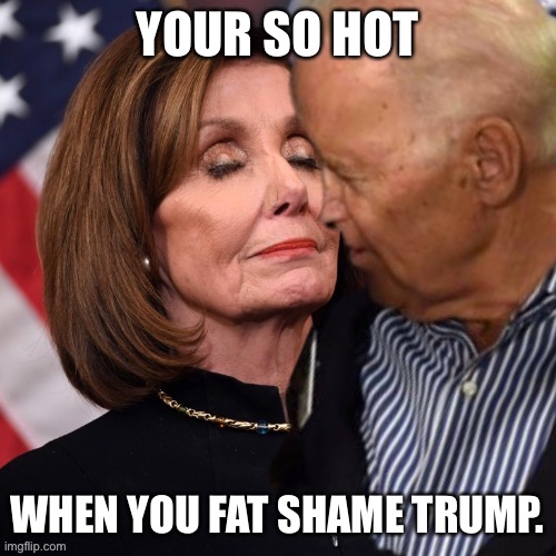 Joe Biden sniffing Pelosi | YOUR SO HOT; WHEN YOU FAT SHAME TRUMP. | image tagged in joe biden sniffing pelosi | made w/ Imgflip meme maker