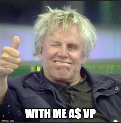 Gary Buddy | WITH ME AS VP | image tagged in gary buddy | made w/ Imgflip meme maker
