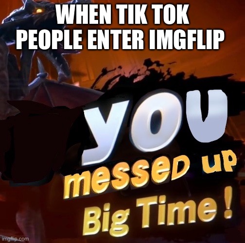 These people messed up big time | WHEN TIK TOK PEOPLE ENTER IMGFLIP | made w/ Imgflip meme maker