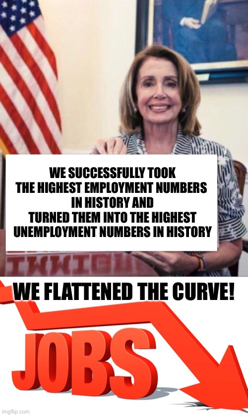 It doesn’t take a genius to see what these tyrannical lockdowns are really about | WE SUCCESSFULLY TOOK THE HIGHEST EMPLOYMENT NUMBERS 
IN HISTORY AND TURNED THEM INTO THE HIGHEST UNEMPLOYMENT NUMBERS IN HISTORY; WE FLATTENED THE CURVE! | image tagged in pelosi blank sign,lockdown,quarantine | made w/ Imgflip meme maker