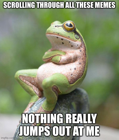 nah frog | SCROLLING THROUGH ALL THESE MEMES; NOTHING REALLY JUMPS OUT AT ME | image tagged in nah frog,terrible puns,memes | made w/ Imgflip meme maker
