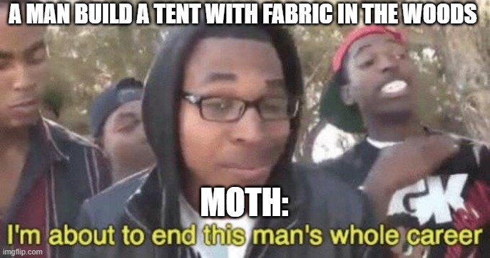 Moth | A MAN BUILD A TENT WITH FABRIC IN THE WOODS; MOTH: | image tagged in im about to end this mans whole career | made w/ Imgflip meme maker