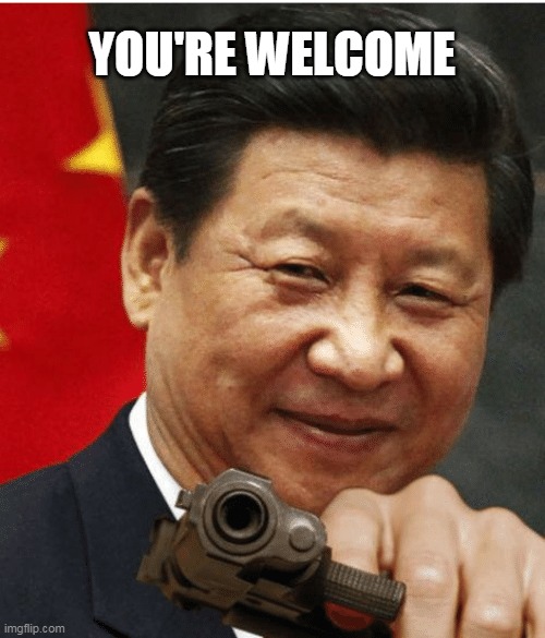 Xi Jinping | YOU'RE WELCOME | image tagged in xi jinping | made w/ Imgflip meme maker
