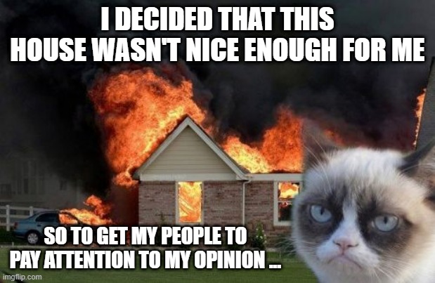 Respect Your Cat's Opinion | I DECIDED THAT THIS HOUSE WASN'T NICE ENOUGH FOR ME; SO TO GET MY PEOPLE TO PAY ATTENTION TO MY OPINION ... | image tagged in memes,burn kitty,grumpy cat,cats,funny,house | made w/ Imgflip meme maker