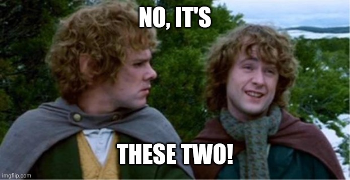 Merry and Pippin | NO, IT'S THESE TWO! | image tagged in merry and pippin | made w/ Imgflip meme maker