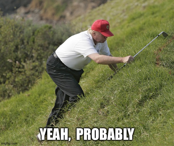trump golfing | YEAH,  PROBABLY | image tagged in trump golfing | made w/ Imgflip meme maker