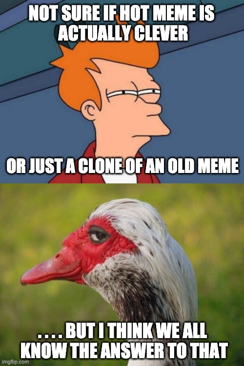 Suspicion | NOT SURE IF HOT MEME IS 
ACTUALLY CLEVER; OR JUST A CLONE OF AN OLD MEME; . . . . BUT I THINK WE ALL
 KNOW THE ANSWER TO THAT | image tagged in memes,futurama fry,sly duck,fraud | made w/ Imgflip meme maker
