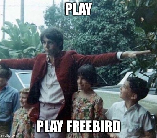 Play freebird | PLAY; PLAY FREEBIRD | image tagged in freebird,lynyrd skynyrd | made w/ Imgflip meme maker