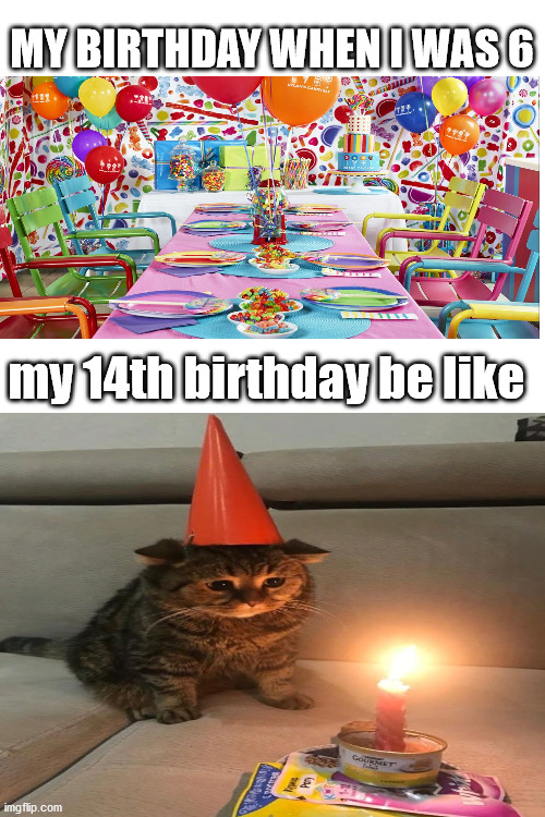 MY BIRTHDAY WHEN I WAS 6; my 14th birthday be like | image tagged in blank white template | made w/ Imgflip meme maker
