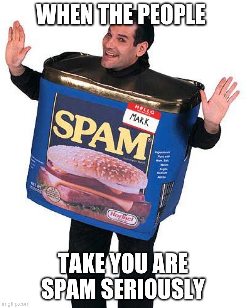 WHEN THE PEOPLE; TAKE YOU ARE SPAM SERIOUSLY | image tagged in oh wow are you actually reading these tags | made w/ Imgflip meme maker