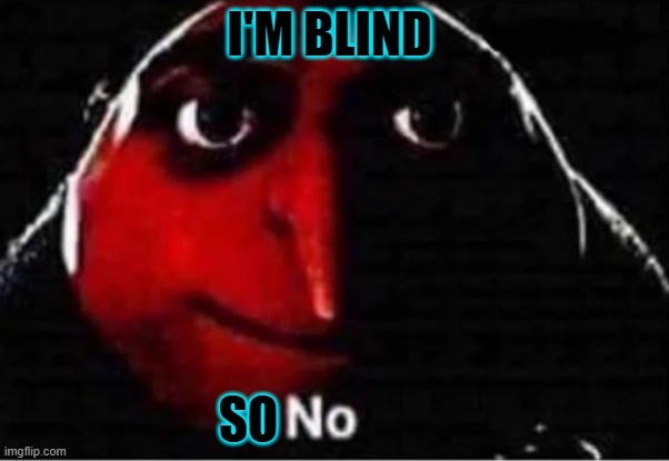 Gru No | I'M BLIND SO | image tagged in gru no | made w/ Imgflip meme maker