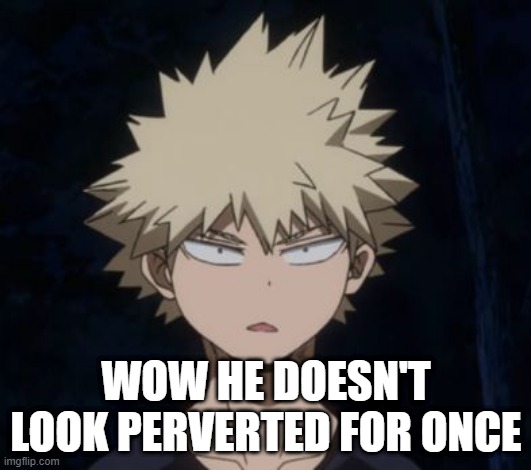 Bakugo's Huh? | WOW HE DOESN'T LOOK PERVERTED FOR ONCE | image tagged in bakugo's huh | made w/ Imgflip meme maker