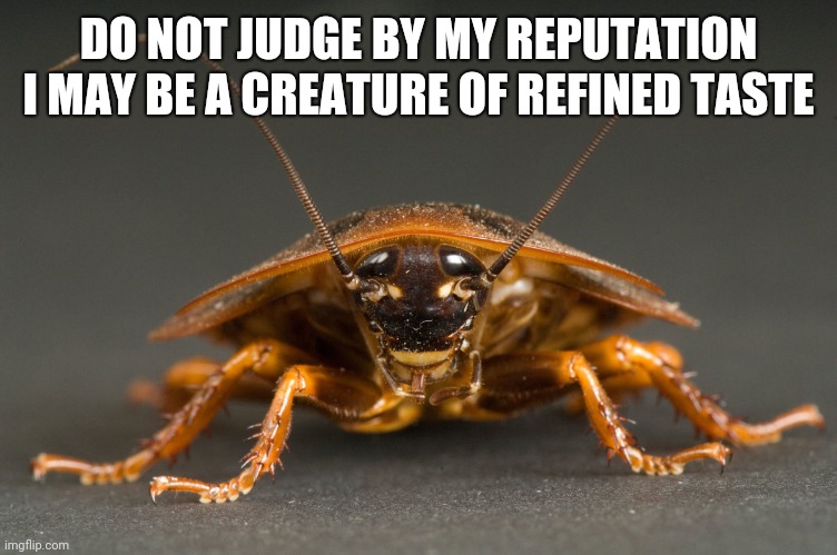Cockroach | DO NOT JUDGE BY MY REPUTATION
I MAY BE A CREATURE OF REFINED TASTE | image tagged in cockroach | made w/ Imgflip meme maker
