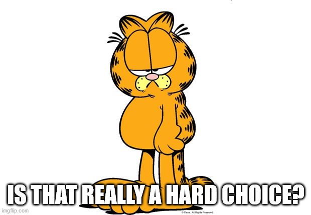 Grumpy Garfield | IS THAT REALLY A HARD CHOICE? | image tagged in grumpy garfield | made w/ Imgflip meme maker