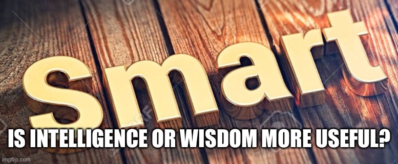 IS INTELLIGENCE OR WISDOM MORE USEFUL? | made w/ Imgflip meme maker