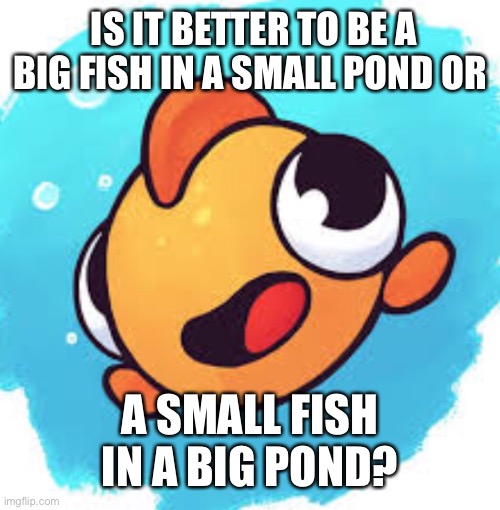 IS IT BETTER TO BE A BIG FISH IN A SMALL POND OR; A SMALL FISH IN A BIG POND? | image tagged in oh wow are you actually reading these tags | made w/ Imgflip meme maker