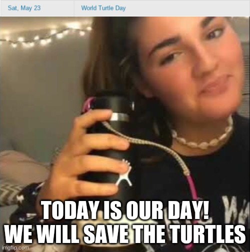 TODAY IS OUR DAY!
WE WILL SAVE THE TURTLES | image tagged in vsco girl,turtle | made w/ Imgflip meme maker