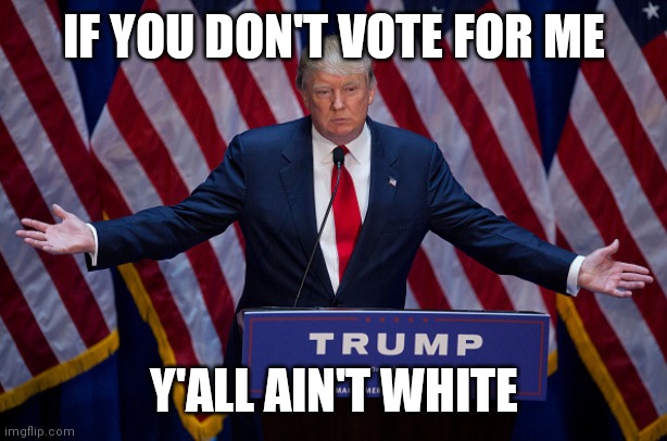 Donald biden | IF YOU DON'T VOTE FOR ME; Y'ALL AIN'T WHITE | image tagged in donald trump,joe biden,white people,black people | made w/ Imgflip meme maker