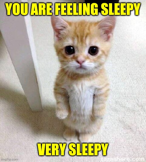 Cute Cat Meme | YOU ARE FEELING SLEEPY; VERY SLEEPY | image tagged in memes,cute cat | made w/ Imgflip meme maker