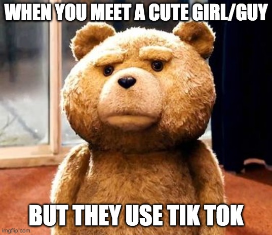 TED | WHEN YOU MEET A CUTE GIRL/GUY; BUT THEY USE TIK TOK | image tagged in memes,ted | made w/ Imgflip meme maker