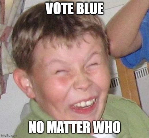 Sarcastic Laugh | VOTE BLUE; NO MATTER WHO | image tagged in sarcastic laugh | made w/ Imgflip meme maker