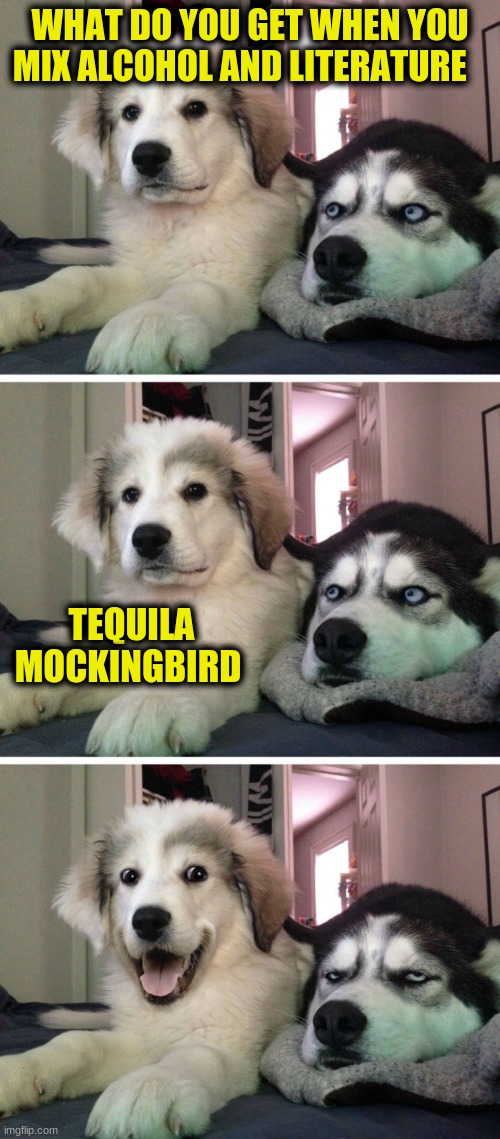 Dog bad joke | WHAT DO YOU GET WHEN YOU MIX ALCOHOL AND LITERATURE; TEQUILA MOCKINGBIRD | image tagged in dog bad joke | made w/ Imgflip meme maker