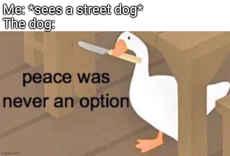 Untitled Goose Peace Was Never an Option | Me: *sees a street dog* 
The dog: | image tagged in untitled goose peace was never an option | made w/ Imgflip meme maker