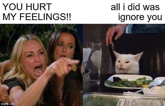 Woman Yelling At Cat | YOU HURT 
MY FEELINGS!! all i did was 
ignore you | image tagged in memes,woman yelling at cat | made w/ Imgflip meme maker