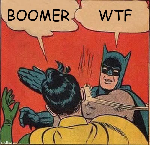 Batman Slapping Robin Meme | BOOMER; WTF | image tagged in memes,batman slapping robin | made w/ Imgflip meme maker