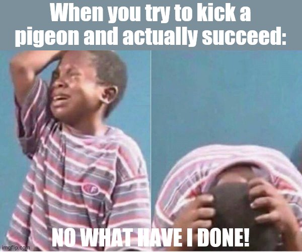 Foot go wee... | When you try to kick a pigeon and actually succeed:; NO WHAT HAVE I DONE! | image tagged in crying kid,memes,fun | made w/ Imgflip meme maker