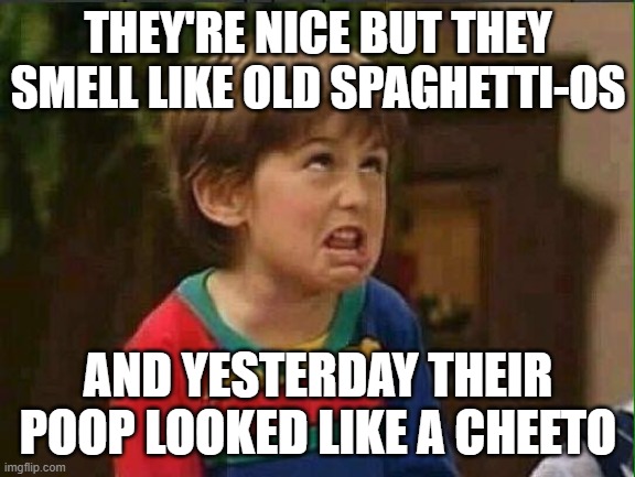 mimimi | THEY'RE NICE BUT THEY SMELL LIKE OLD SPAGHETTI-OS AND YESTERDAY THEIR POOP LOOKED LIKE A CHEETO | image tagged in mimimi | made w/ Imgflip meme maker
