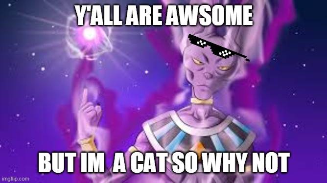 Beerus is cat y'all know him? | Y'ALL ARE AWSOME; BUT IM  A CAT SO WHY NOT | image tagged in lord beerus disaproves | made w/ Imgflip meme maker